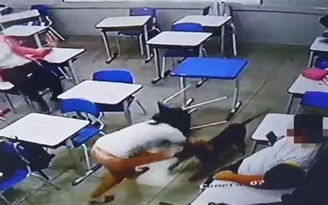 Vídeo! Aluna é atacada por cachorro dentro de sala de aula